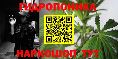 твердый Партизанск