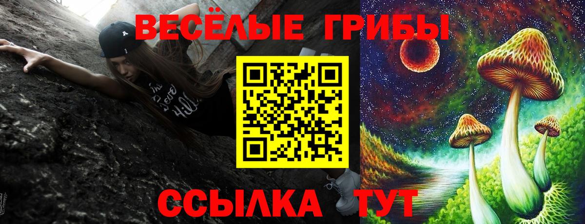 Галлюциногенные грибы Psilocybine cubensis Сарапул